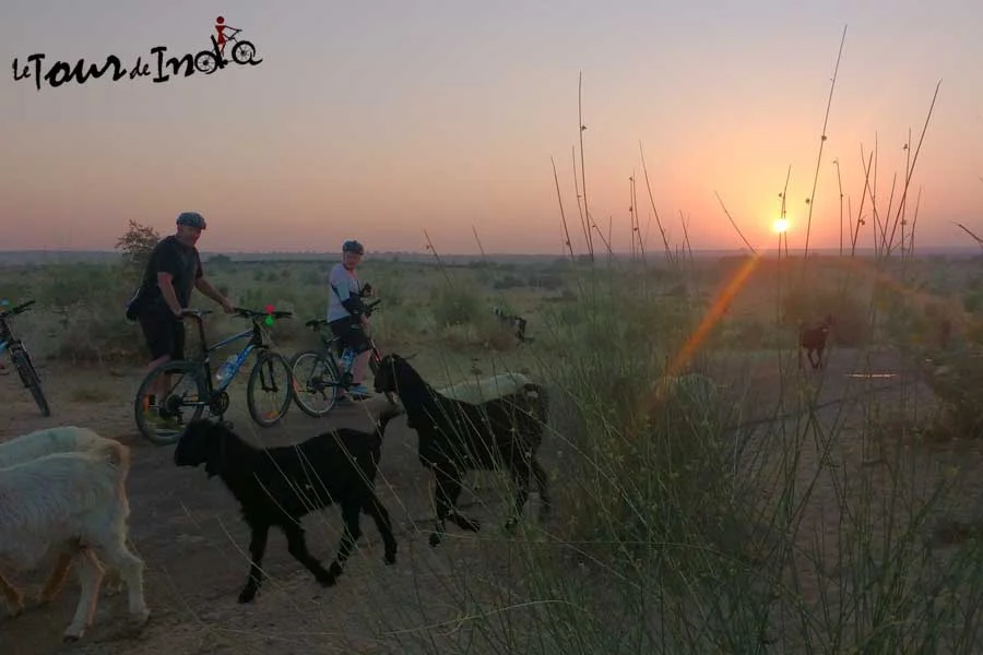 11 Days Rajasthan Boutique Cycling Tour